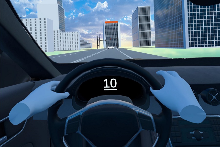 Drivers License VR